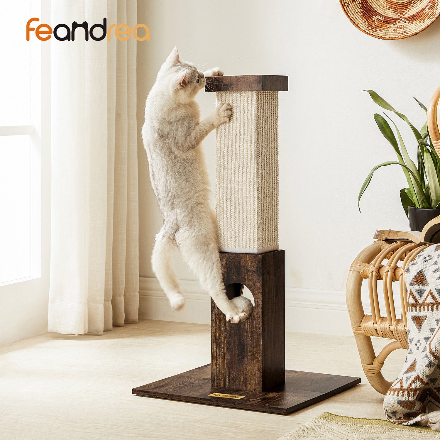 Cat Scratching Post